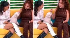 Perro de Onelia Molina muerde EN VIVO a Janet Barboza en 'América hoy': conductora tuvo impensada reacción