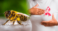 Científicos descubren que el veneno de abeja podría ser clave para un nuevo tratamiento para frenar y eliminar el cáncer de mama