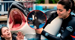 ¿Es real la historia de Jessica Radcliffe? La verdad detrás del video viral de su supuesta muerte tras ataque de una orca