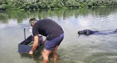 Arqueólogos descubren un tesoro de lingotes de la Edad del Hierro que estuvo oculto bajo un río durante más de 2.000 años