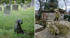 Esta ciudad del Perú se alista para inaugurar el primer cementerio de mascotas en el país: su capacidad es de 500 animales