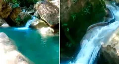 Turista intenta ingresar al río en Tingo María, pero queda en shock al encontrar una enorme serpiente tomando el sol