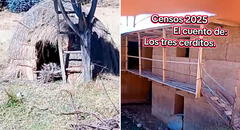 Censista encuentra la casa de ‘los 3 cerditos’ durante Censo 2025 y en redes bromean: “Si no le abren, soplará y soplará”