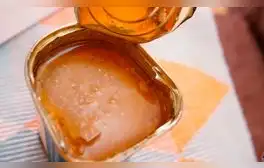 YouTube viral: ¿Sabías que en Perú venden un paté que cuesta 200 soles?