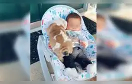 Pequeño perro conoce al bebé de su dueña y juntos protagonizan un tierno encuentro [VIDEO]