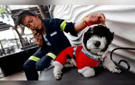 Barrendera y su perro se vuelven viral en redes sociales. Foto: Reuters