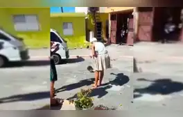 YouTube Viral: Video donde perro y gato se aparean genera asombro en la red