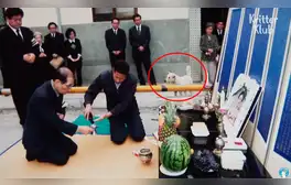 Desliza las imágenes para conocer a Jindol, el perro que no olvida a su fallecida dueña. Foto: captura de YouTube