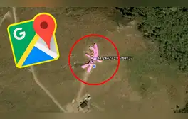 Conejo gigante