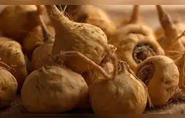 La maca es uno de los alimentos más completos para nuestro cuerpo. Foto: Andina