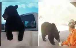 Las imágenes dejaron sorprendidos a miles en las redes sociales. Foto: captura de YouTube