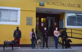 Para ayudar a los animales que sufren de maltratos o son abandonados, la Municipalidad de Lurín lanzó un programa para darles una mejor calidad de vida. Foto: Programa TRAC/ Facebook
