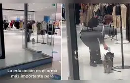 Un asistente al centro comercial se percató de este tierno hecho y grabó al señor mientras demostraba su empatía hacia el cachorro. Foto: captura de TikTok