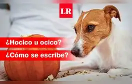 lr.pe