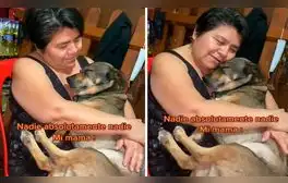 Una joven grabó el amoroso momento entre su madre y su querida mascota. Luego, ella le dedicó una canción que inventó para demostrarle su cariño. Foto: captura de TikTok