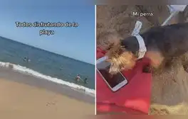 lr.pe