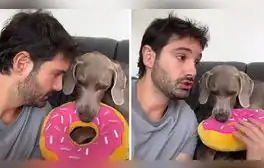 El clip consiguió más de 33.100 'me gusta' en la red social. Foto: captura de TikTok