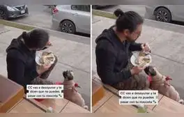El muchacho se negó a dejar a su mascota fuera, así que tomó una radical decisión. Foto: captura de TikTok