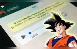 lr.pe