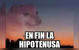 Miles de usuarios han utilizado esta divertida frase para dar a conocer sus más ingeniosas ideas. Foto: captura de Twitter