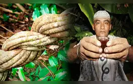 lr.pe