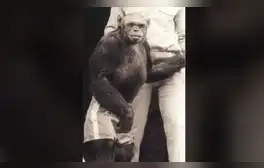 lr.pe