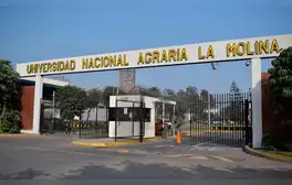 lr.pe