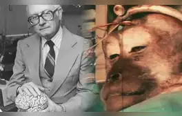 Robert Joseph White realizó más de 10.000 operaciones quirúrgicas y al menos de 900 publicaciones sobre neurocirugía clínica.