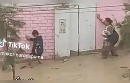 lr.pe