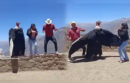 lr.pe