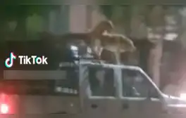 Usuarios no pararon de reír por la curiosa publicación de redes.