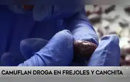 lr.pe