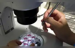 lr.pe