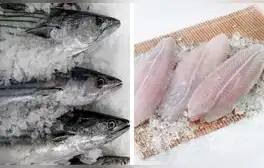 ¿Cómo mantener el sabor fresco de un pescado congelado? Aquí te contamos el truco