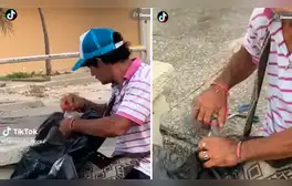 lr.pe
