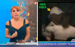 lr.pe