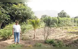 lr.pe