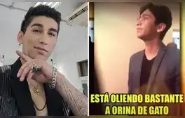 lr.pe
