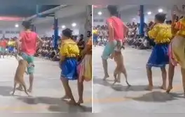 lr.pe