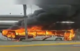 lr.pe