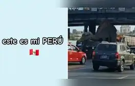lr.pe