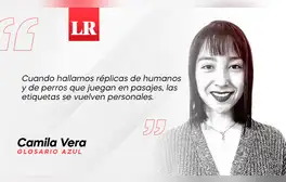 lr.pe