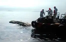 lr.pe