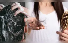 lr.pe