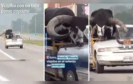 lr.pe
