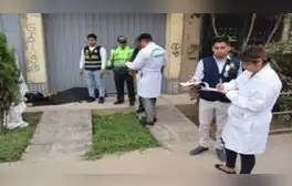 lr.pe