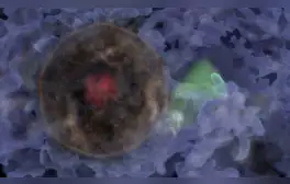 lr.pe