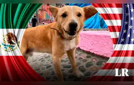 lr.pe