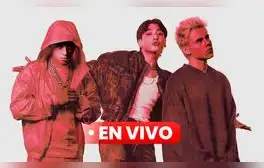 lr.pe