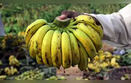 lr.pe